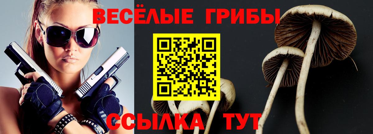 MDMA  A PVP СОЛЬ   COCAIN  Вход с VPN  ТГК  Родники  ГАШИШ  Меф МЯУ МЯУ кристаллы  Бошки Шишки 