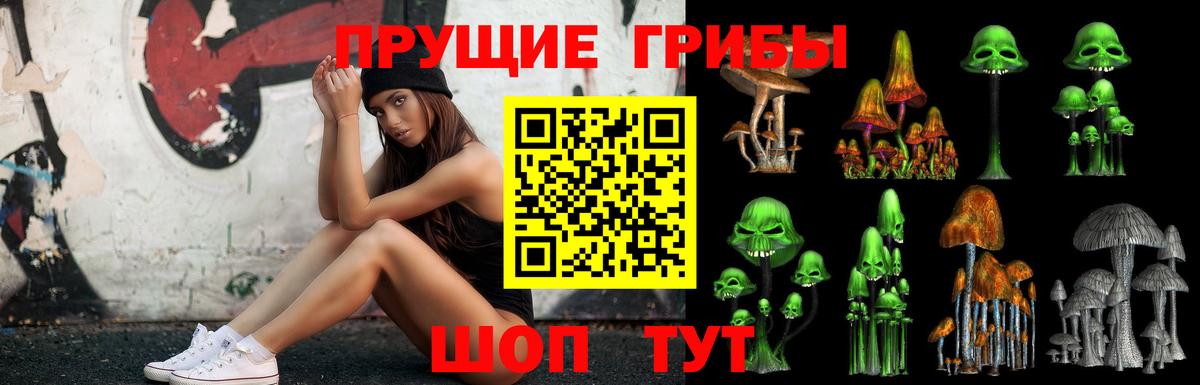 Родники  Псилоцибиновые грибы Cubensis  Вход с VPN 